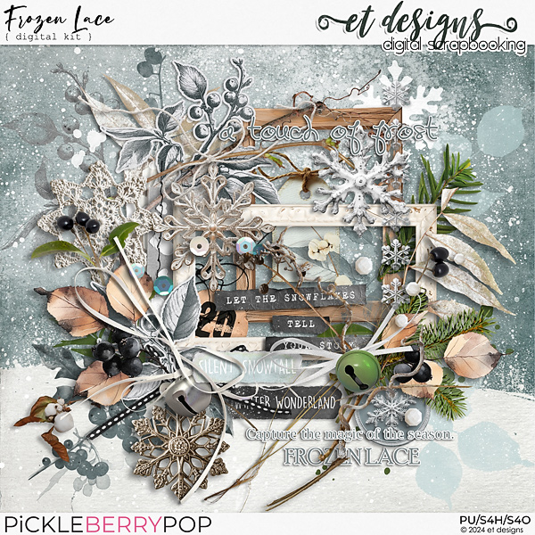 Frozen Lace Kit by et designs