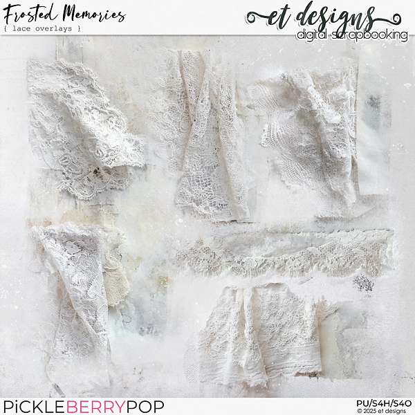 Frosted Memories Lace Overlays by et designs