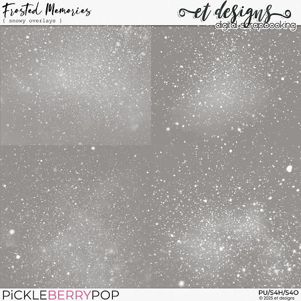 Frosted Memories Snowy Overlays by et designs
