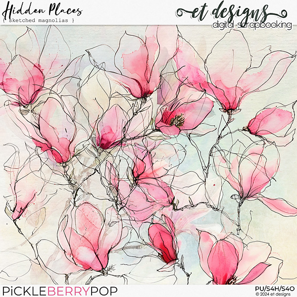 Hidden Places Sketched Magnolias by et designs