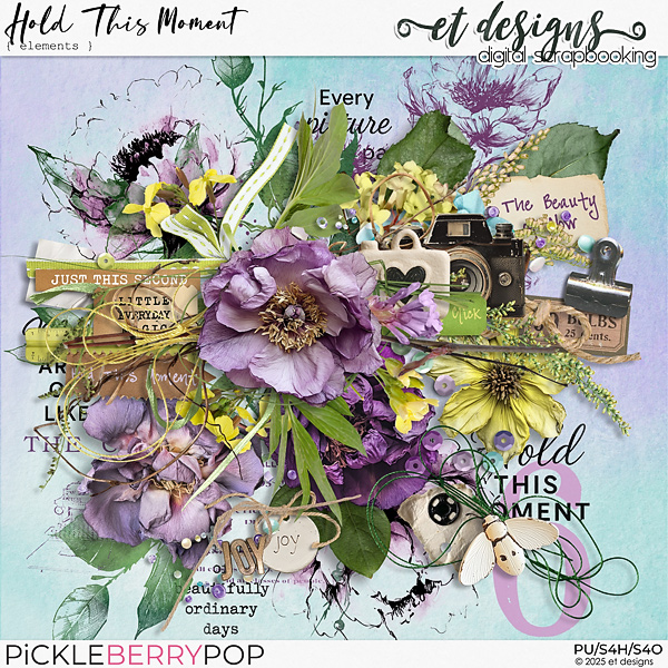Hold This Moment Elements by et designs