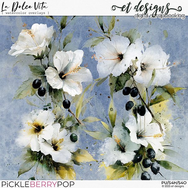 La Dolce Vita Watercolor Overlays by et designs