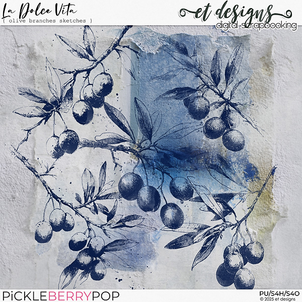 La Dolce Vita Olive Branches Sketches by et designs
