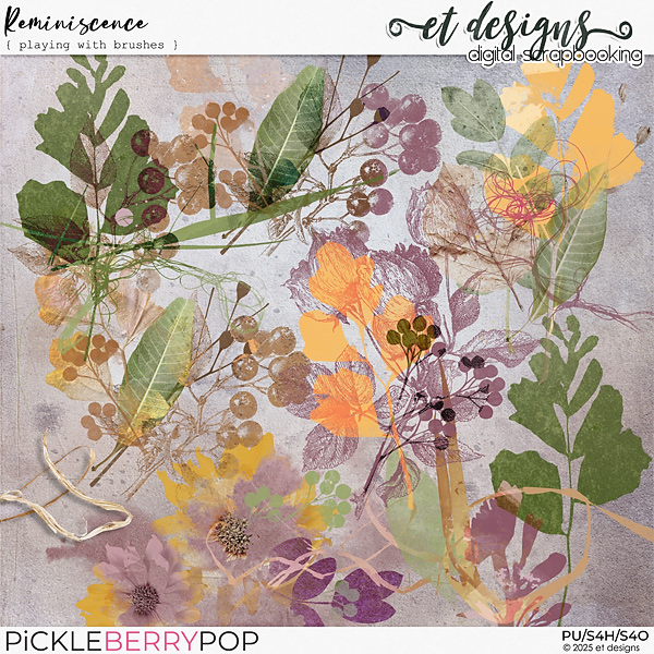 Reminiscence Playing with Brushes by et designs