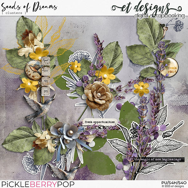 Seeds of Dreams Clusters by et designs