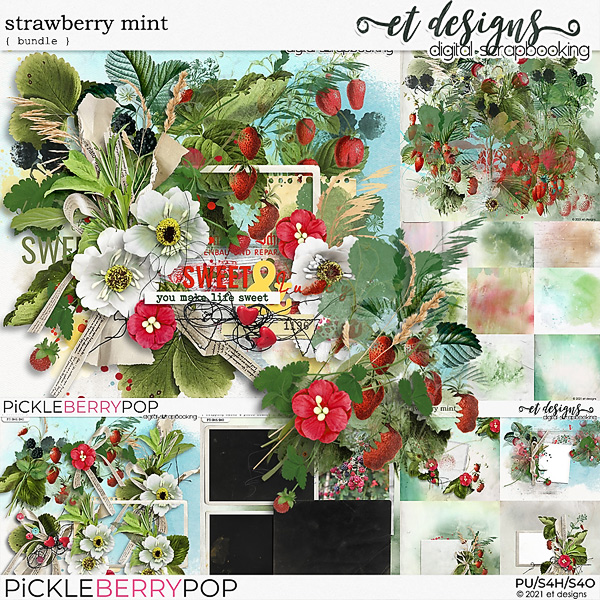 Strawberry Mint Bundle by et designs