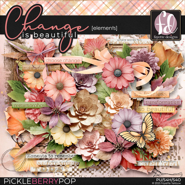 Change is Beautiful: Elements