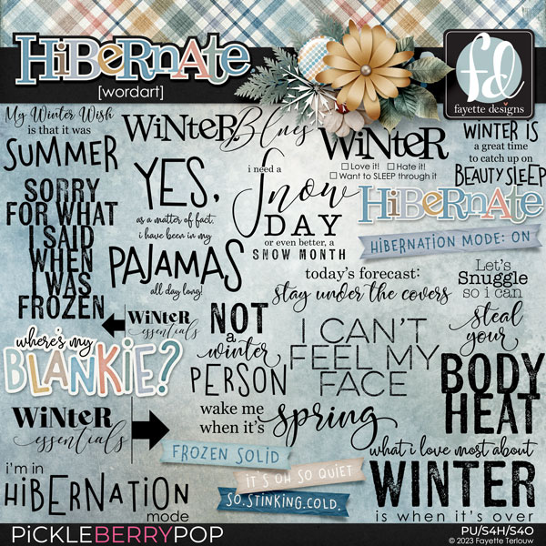 Hibernate: WordArt