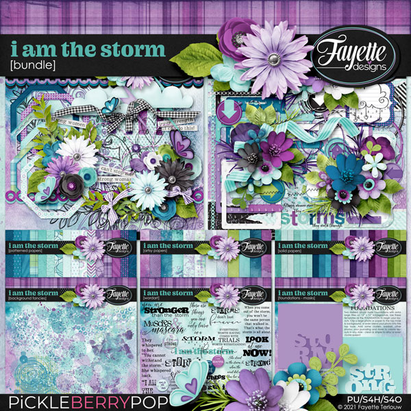 I am the Storm: Bundle