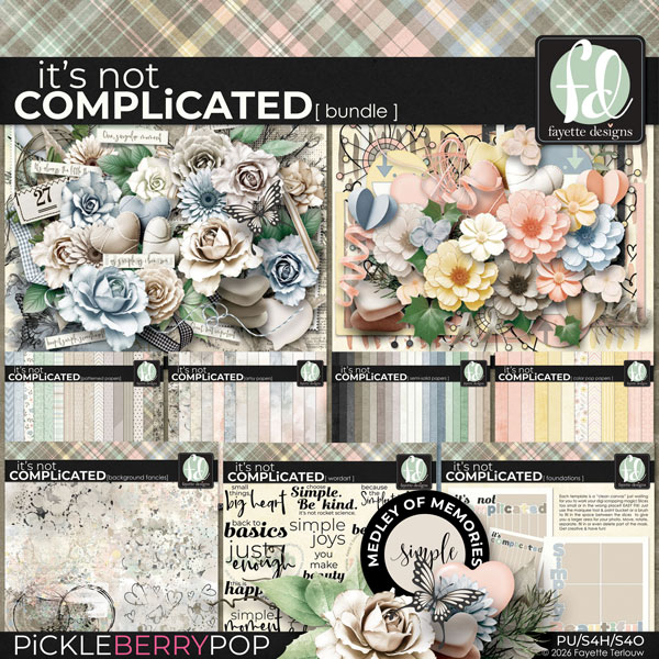 It's Not Complicated: Bundle