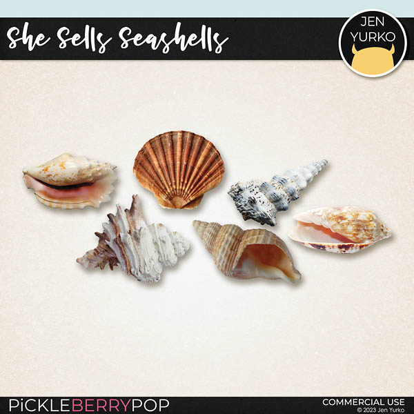 She Sells Seashells