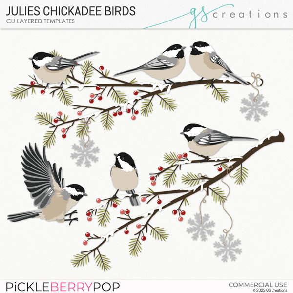 Julies Chickadee Birds (CU)