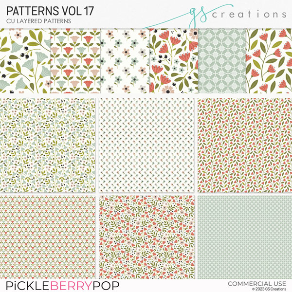 Patterns Vol17 (CU)