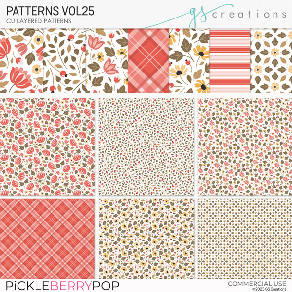 Patterns Vol25 (CU)