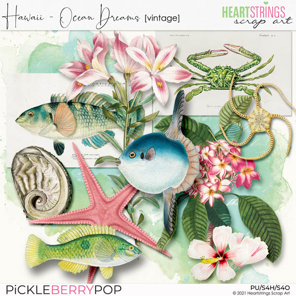 Hawaii – Ocean Dreams Vintage