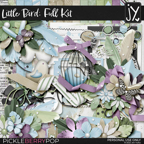 Little Bird Full Kit