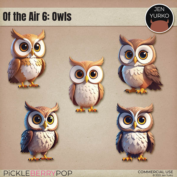 CU Of the Air 6: Owls
