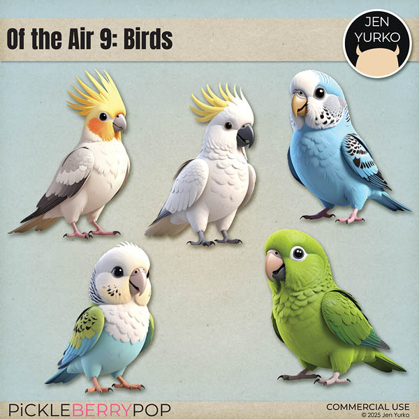 CU Of the Air 9: Birds