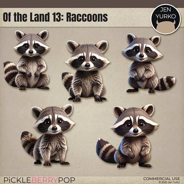 CU Of the Land 13: Raccoons