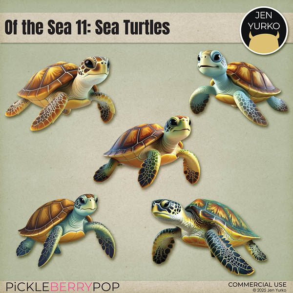 Of the Sea 11: Sea Turtles
