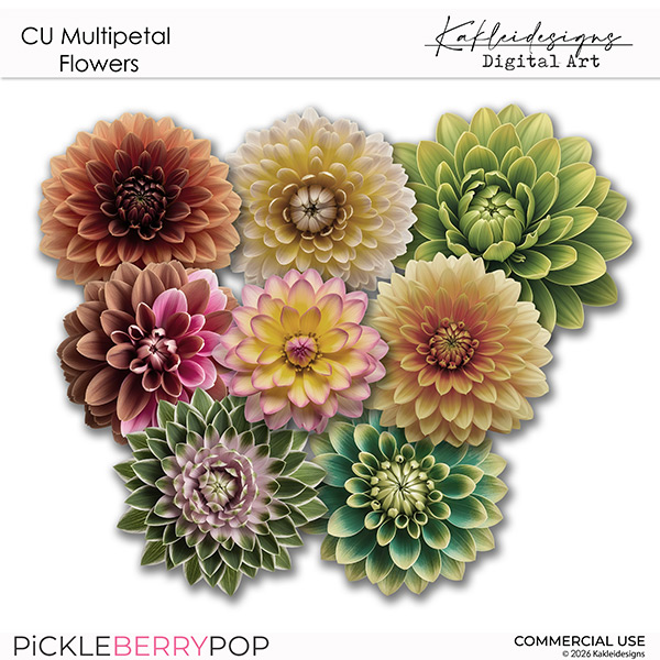 CU Multipetal Flowers