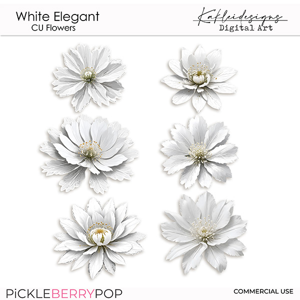 White Elegant CU Flowers