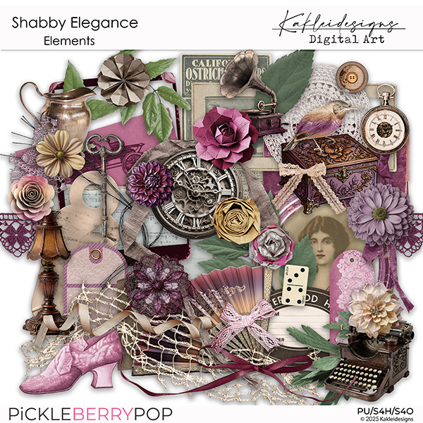 Shabby Elegance Elements