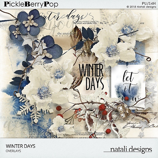 Winter Days Overlays