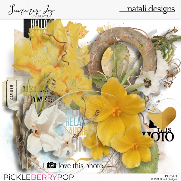 Summer Joy Overlays