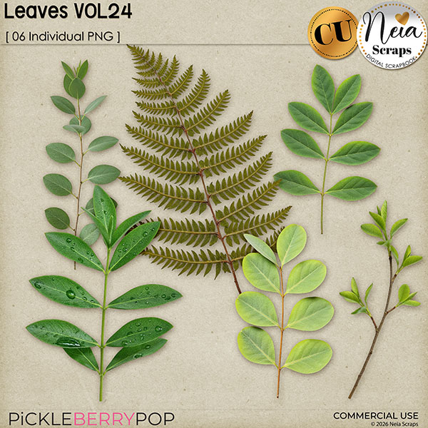 Leaves VOL24 - CU - by Neia Scraps