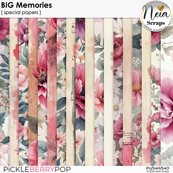 BIG Memories - Special Papers - by Neia Scraps