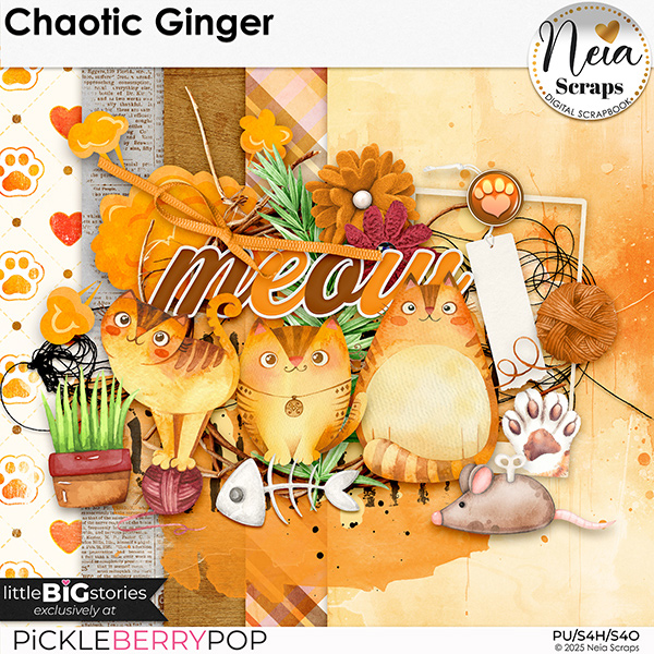Chaotic Ginger