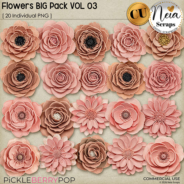 Flowers BIG Pack VOL03 - CU - by Neia Scraps