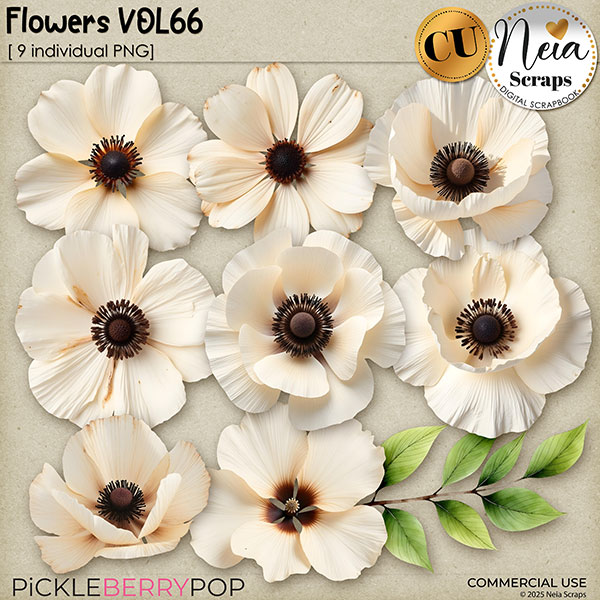 Flowers VOL66 - CU - by Neia Scraps