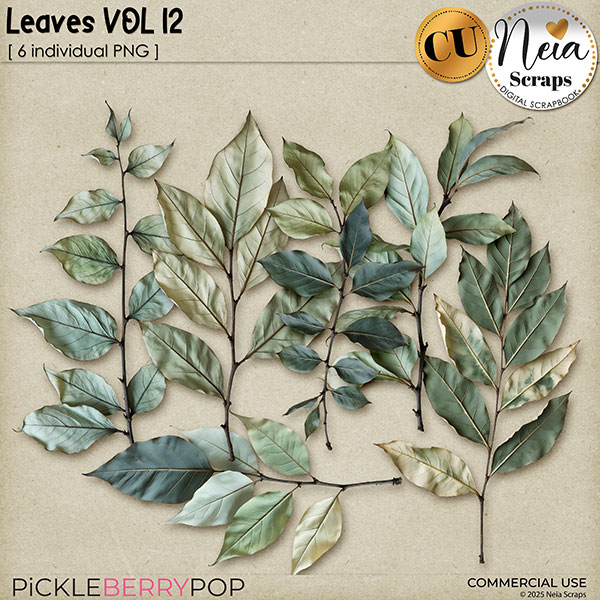 Leaves VOL12 - CU - by Neia Scraps