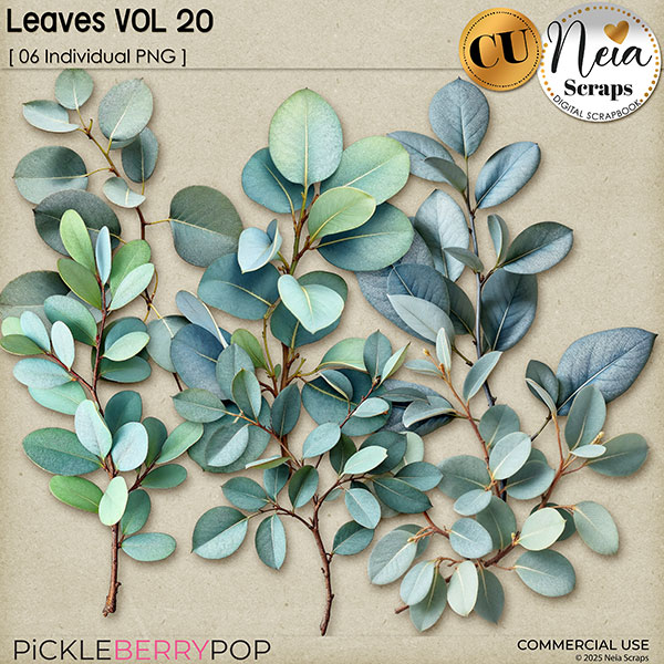 Leaves VOL20 - CU - by Neia Scraps