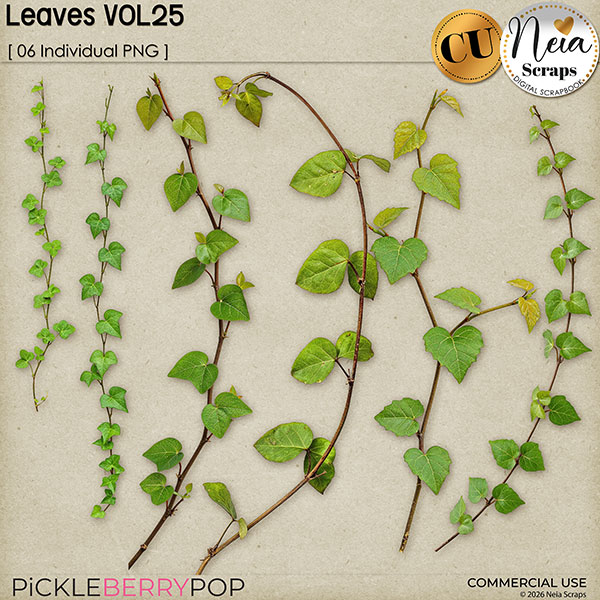 Leaves VOL25 - CU - by Neia Scraps