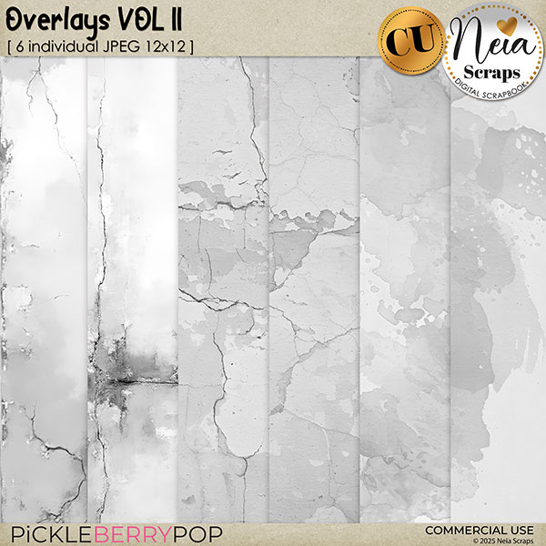 Overlays VOL11 - CU - by Neia Scraps
