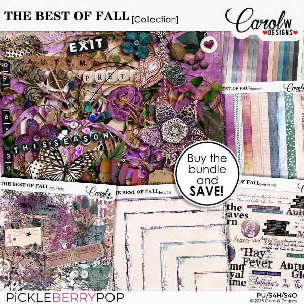 THE BEST OF FALL-Collection