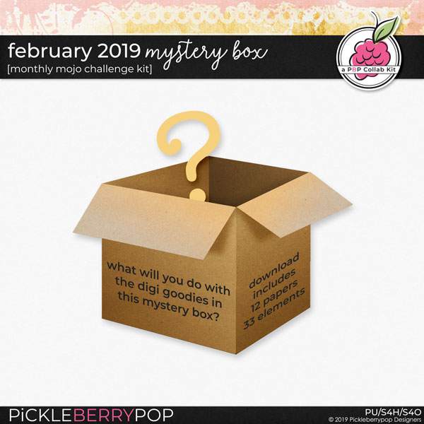 February 2019 Mystery Box