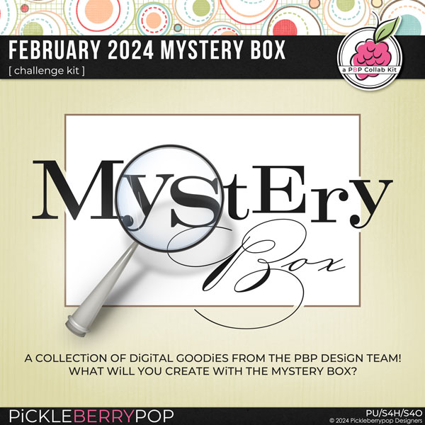 February 2024 Mystery Box