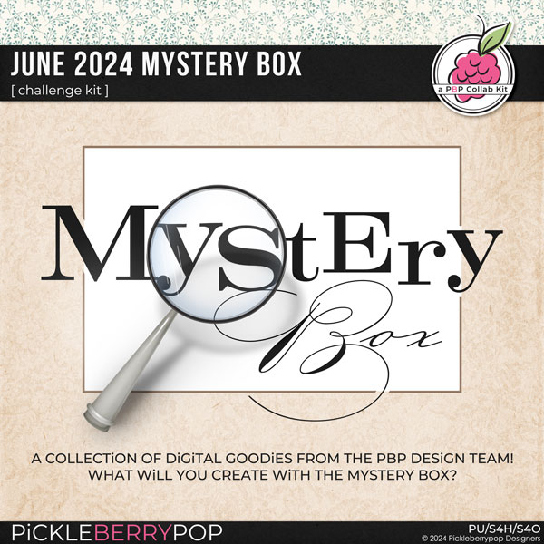 June 2024 Mystery Box