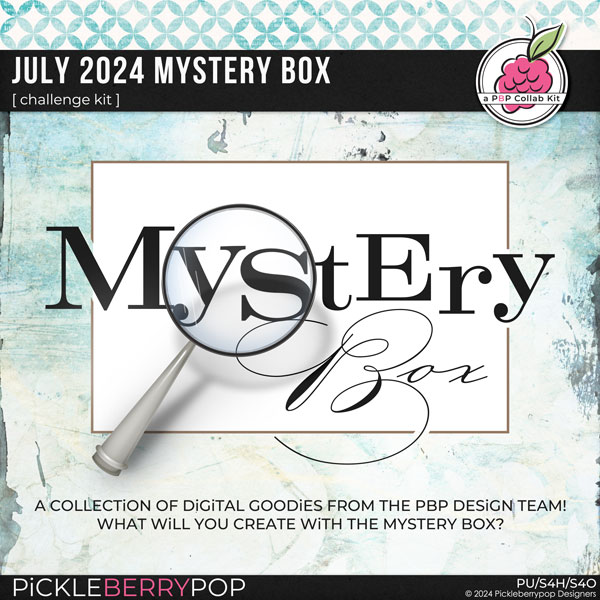 July 2024 Mystery Box