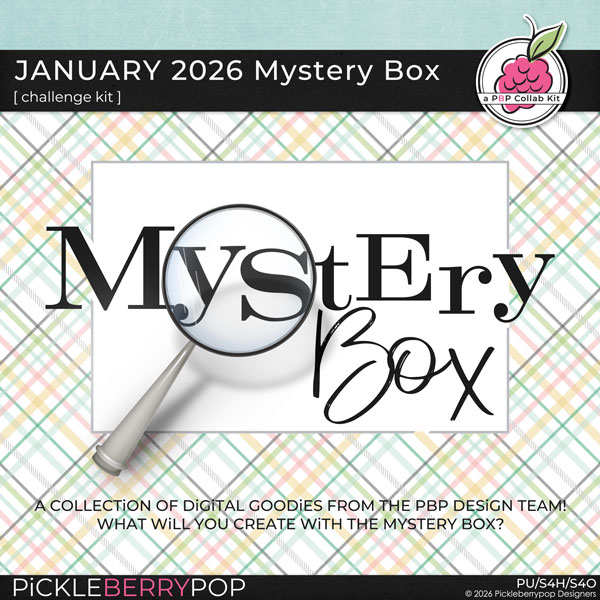 January 2026 Mystery Box