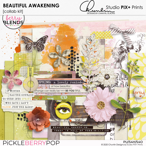 Beautiful Awakening, A Berry Blends Collab Kit