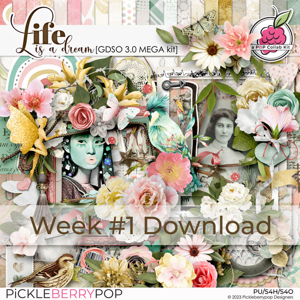 Life is a Dream: GDSO 3.0 Prize - Week #1