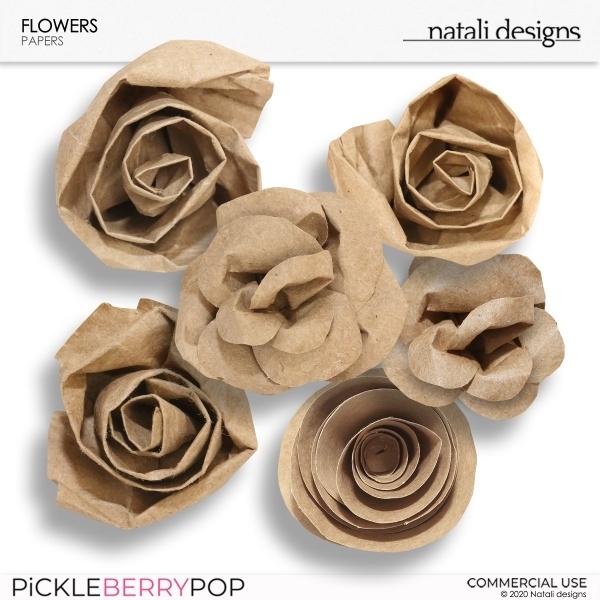 CU Paper Flowers