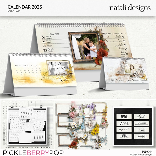 2025 Calendar Desktop All in One