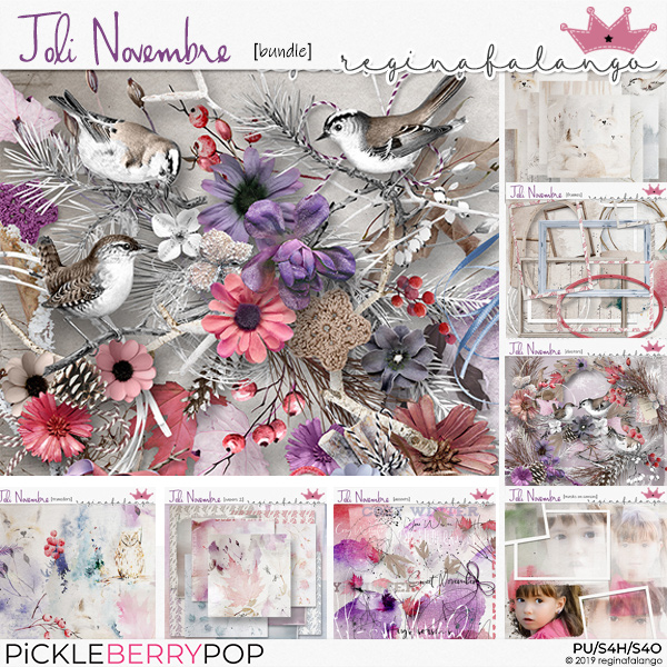 JOLI NOVEMBRE BUNDLE