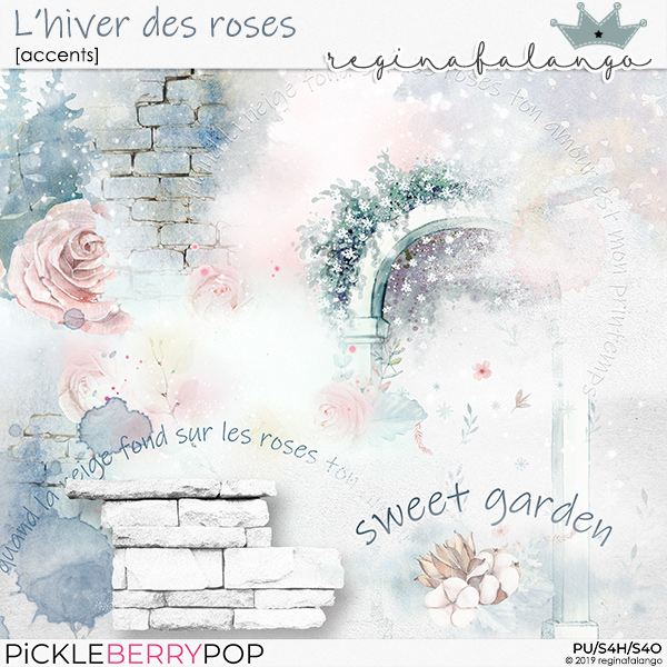 L'hiver des Roses accents